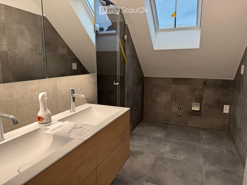 Modern bathroom with a sleek sink, chrome faucet, wooden cabinet, and a large mirror. The space features grey tiles and a glass-enclosed shower area with skylights.