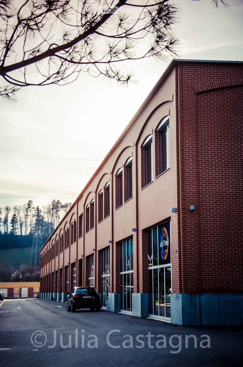 A large brick building with arched windows and a modern facade, featuring a parked car in front and a tree-lined background.
