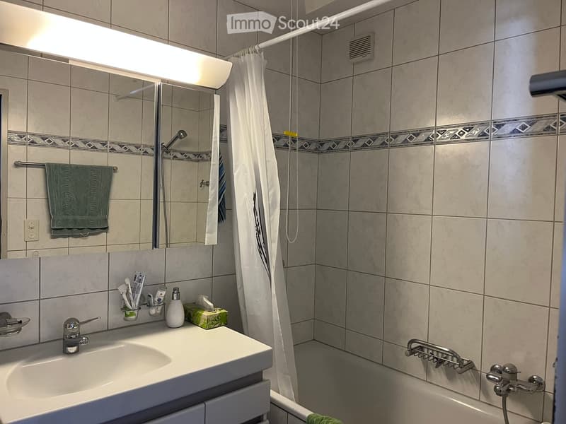 Modern bathroom with a white sink, mirror, and shower area. Includes a towel, toothbrush holder, soap dispenser, and a green towel on the rack.