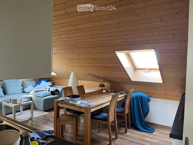 A cozy, wooden-paneled room with a sofa, a dining table with chairs, a small side table, and a kitchen area with a sink and a refrigerator.