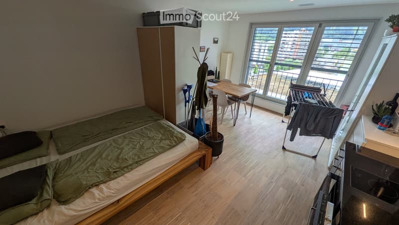 A small, well-lit room with a bed, a dining table with chairs, a wardrobe, and a potted plant near the window. The room features wooden flooring and large windows with blinds.