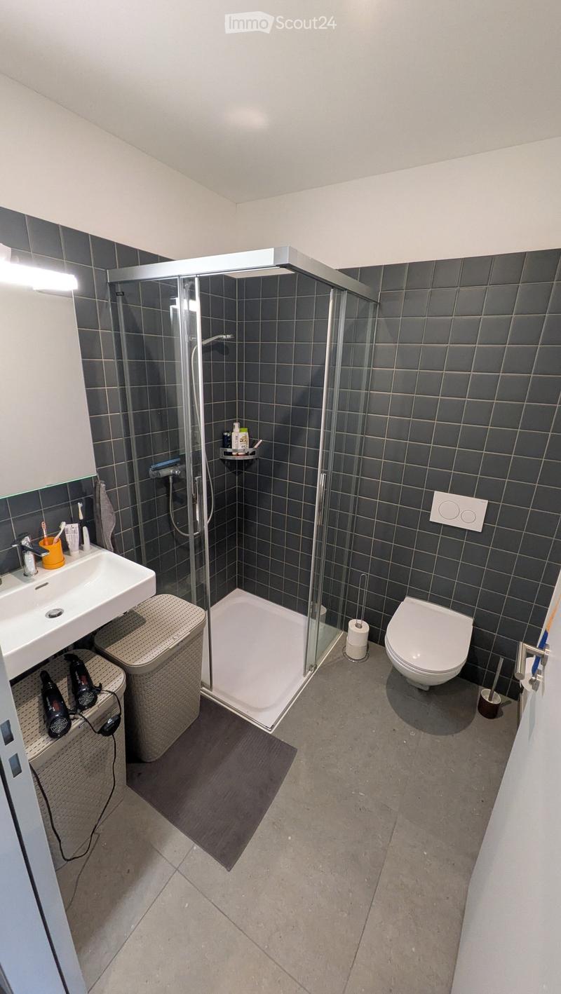 Modern bathroom with dark tiled walls, a glass-enclosed shower, a white sink, a toilet, and a wicker basket holding a hair dryer and other items.