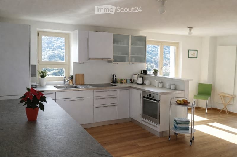 Modern kitchen with white cabinets, stainless steel appliances, wooden flooring, and large windows offering a view of snowy trees. Includes a sink, oven, cart with a bowl of fruit, a green chair, and a small table with a plant.