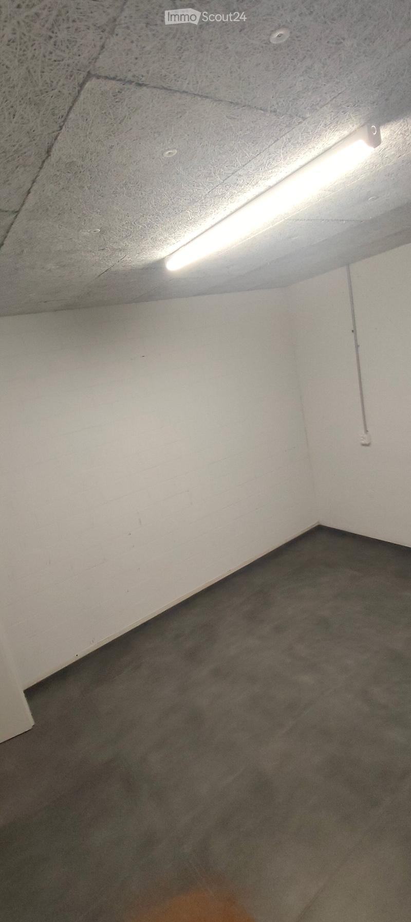 Empty room with white walls, carpeted floor, and a single fluorescent light fixture on the ceiling.