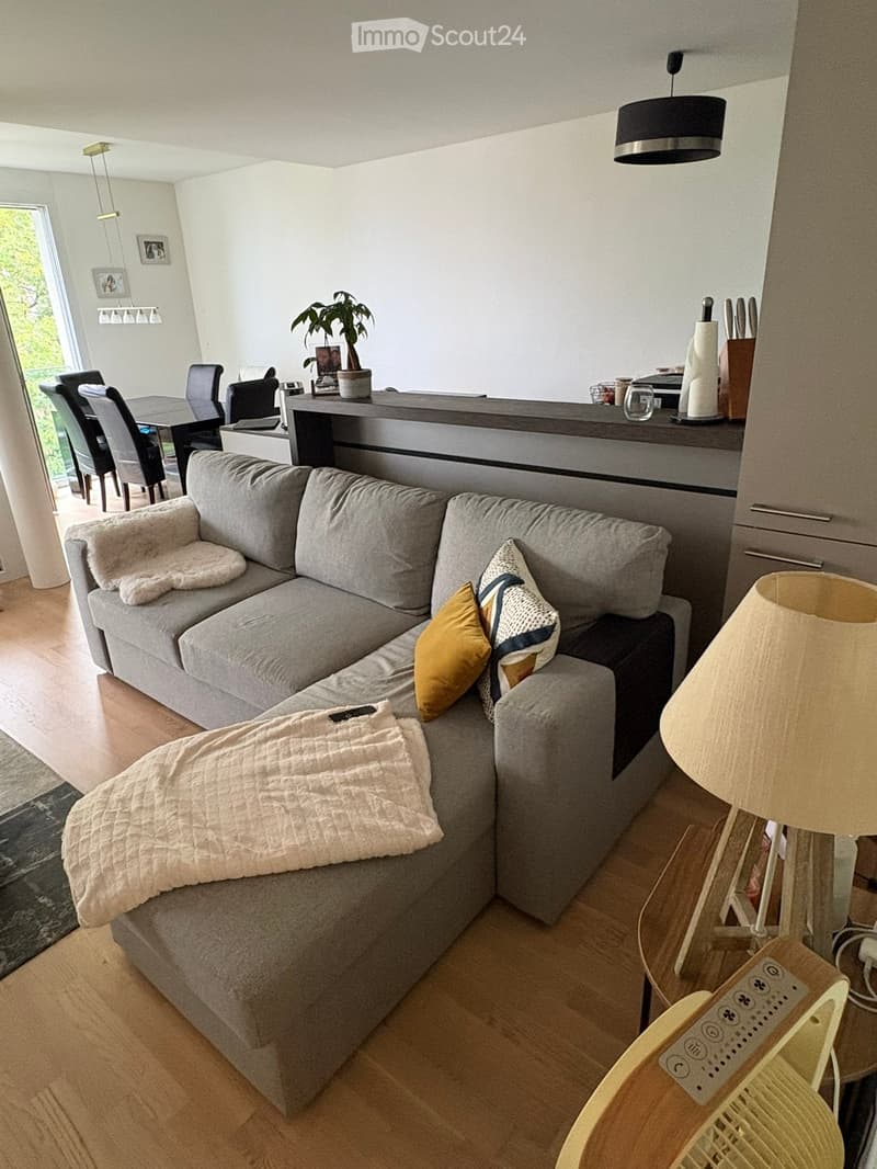 Modern living room with grey sectional sofa, throw blanket, pillows, side table with lamp, bar counter, dining area with chairs, and potted plant.