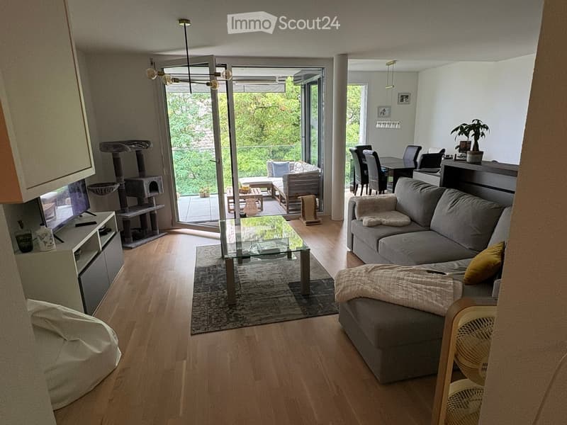 Modern living room with a grey sofa, glass coffee table, cat tree, and a dining area with chairs and a table.