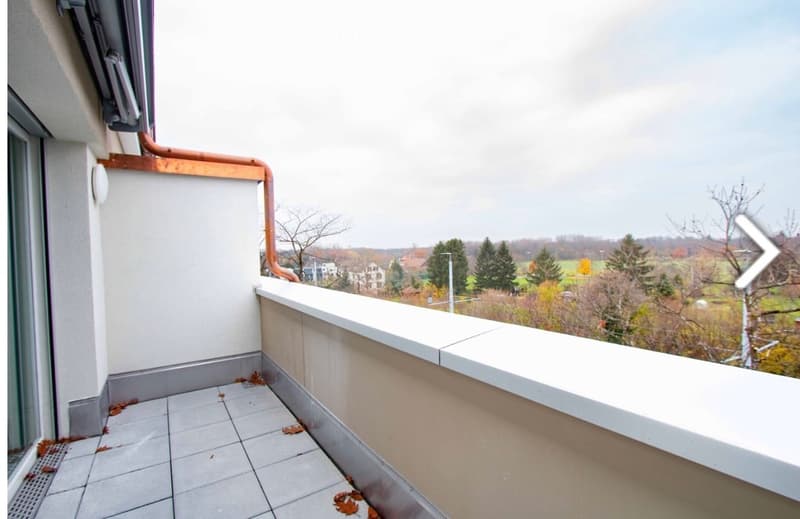 Balcony with tiled floor, white railing, and a view of a rural landscape with trees and houses.