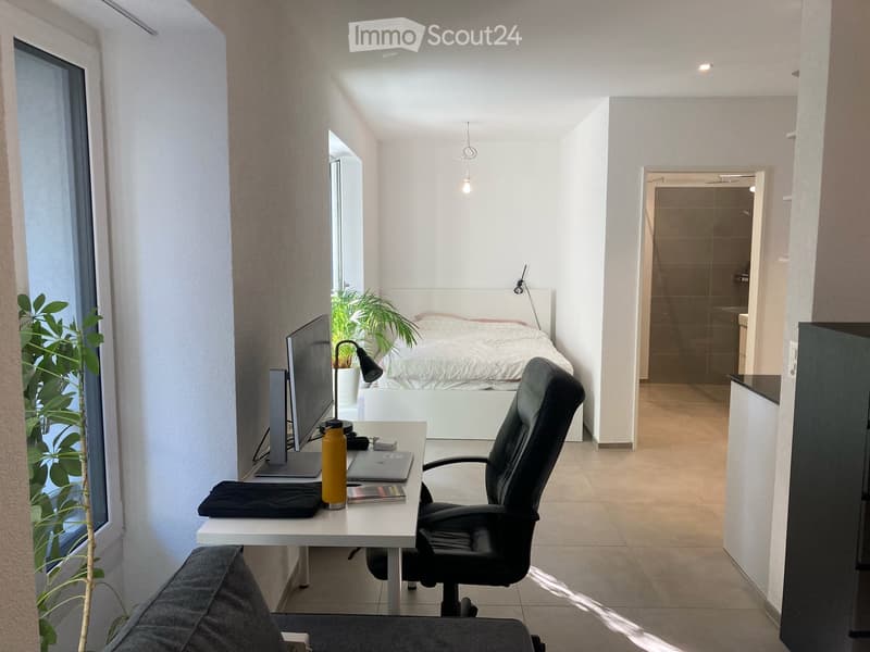 Studio in Zürich / Idaplatz (1)