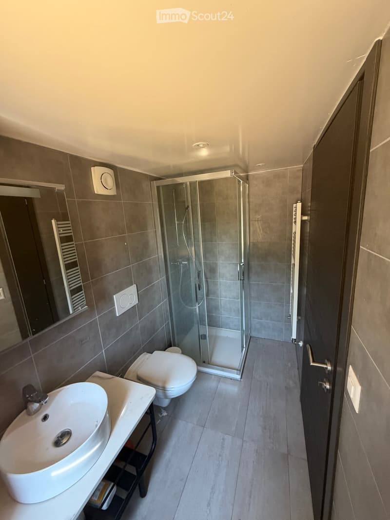 Modern bathroom with a white sink, toilet, glass-enclosed shower, and a large mirror. The walls are tiled in gray, and the floor is tiled in light gray.