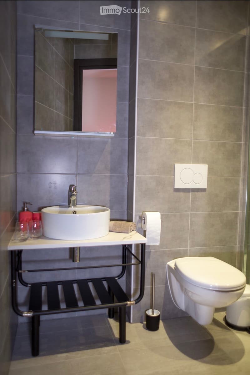 Modern bathroom with a white sink, chrome faucet, large mirror, toilet, towel rack with towels, toilet paper holder, and a soap dispenser on the counter.