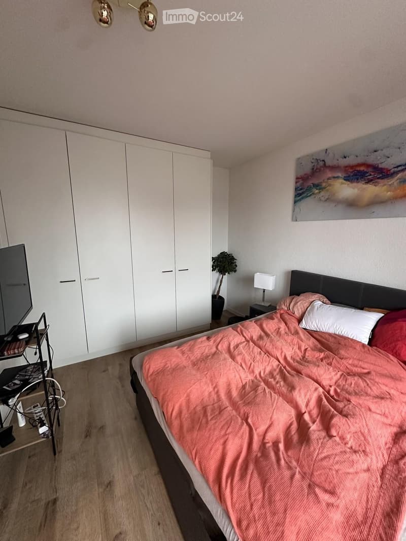 Modern bedroom with a large bed, pink bedding, white wardrobe, nightstand with lamp, potted plant, and a TV screen on a stand.