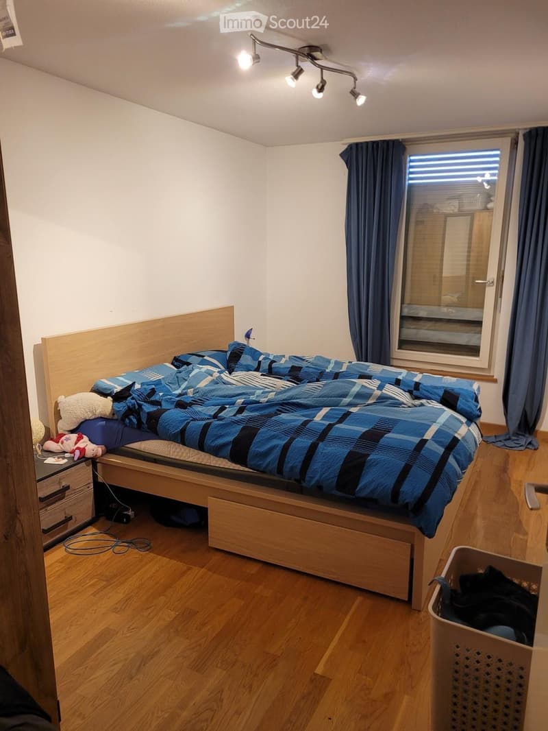 Cozy bedroom with wooden flooring, a large bed with blue and black checkered bedding, a nightstand with a lamp, and a window with blue curtains.
