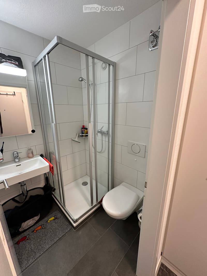 Modern bathroom with white tiles, a glass-enclosed shower, a toilet, a sink with a mirror, and a small shelf inside the shower. The floor is dark grey tiles, and there is a small decorative rug in front of the shower.