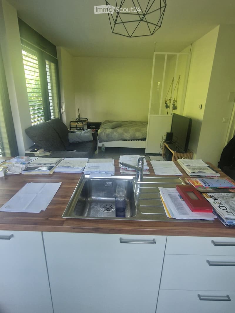 A multi-functional room with a bed, sofa, desk, sink, and cabinetry.