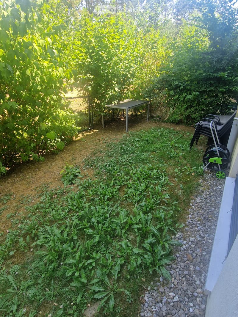 Garden area with a small table and chairs, surrounded by lush greenery and a gravel pathway.