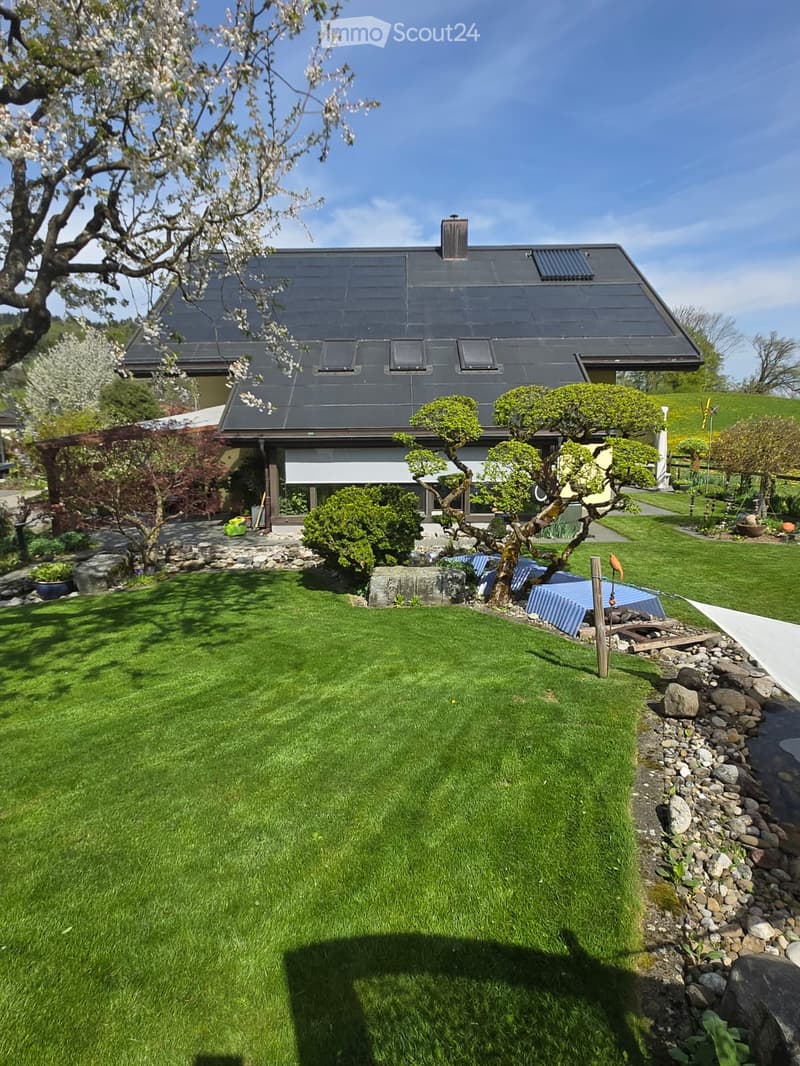Well-maintained garden with a lawn, small trees, shrubs, and a stone pathway leading to a modern house with a dark roof and large windows.