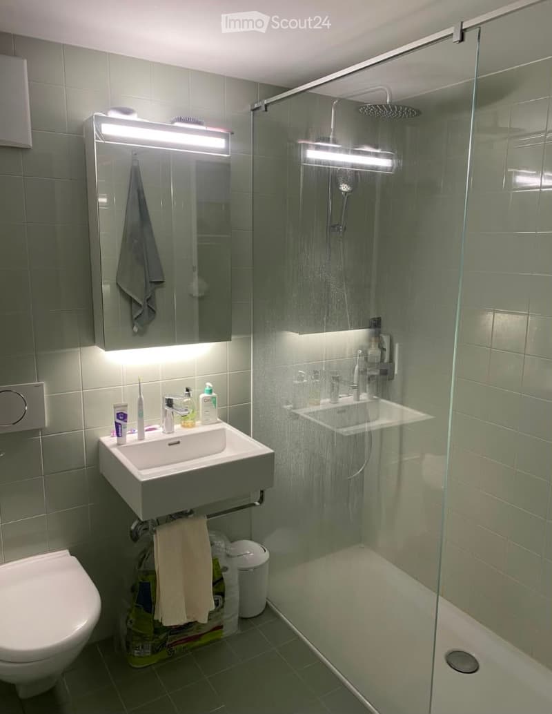 Modern bathroom with a white sink, toilet, mirror with built-in lighting, and a glass-enclosed shower with a handheld showerhead. The sink has personal care items, and towels are neatly hung on a rack.