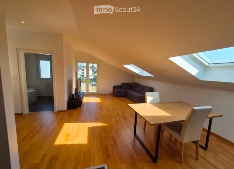 Bright, open loft-style room with wooden flooring, skylights, a sofa, a dining table with chairs, and a TV stand near the door.