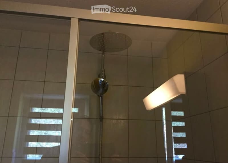 Modern bathroom with a glass-enclosed shower area, featuring a sleek showerhead, a chrome faucet, and a built-in light fixture on the wall.