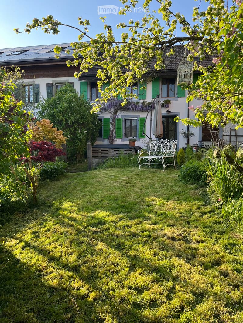 A well-maintained garden with a white metal bench, lush greenery, flowering trees, and a house with green shutters in the background.