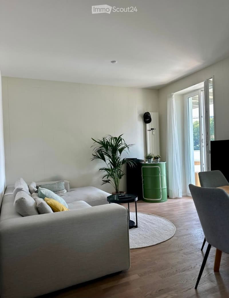 Modern living room with light-colored sofa, coffee table, chairs, a large plant, and a green barrel as a side table. The room features wooden flooring and large windows with white curtains leading to a balcony.
