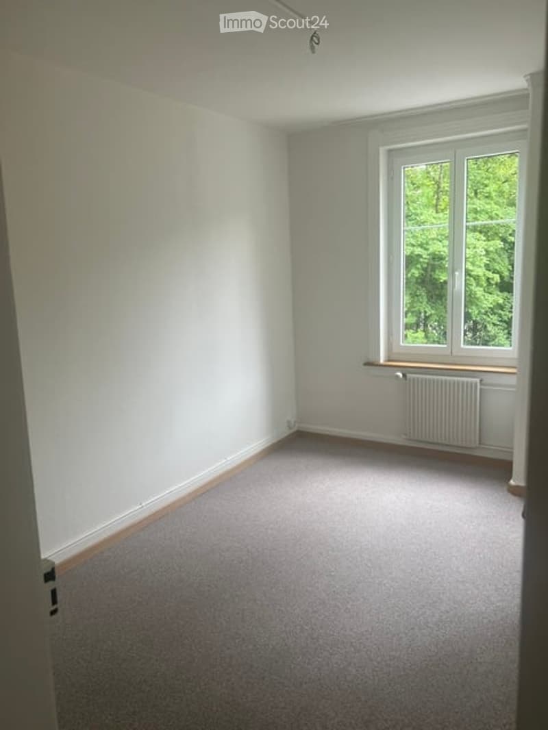 Empty room with light grey carpet, white walls, and a window with a radiator below it.