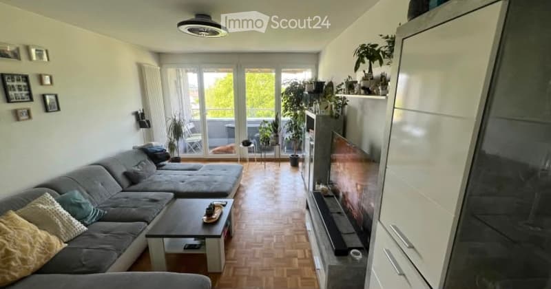 Modern living room with grey sectional sofa, coffee table, TV, and balcony access. Features wooden flooring, white walls, and decorative plants.