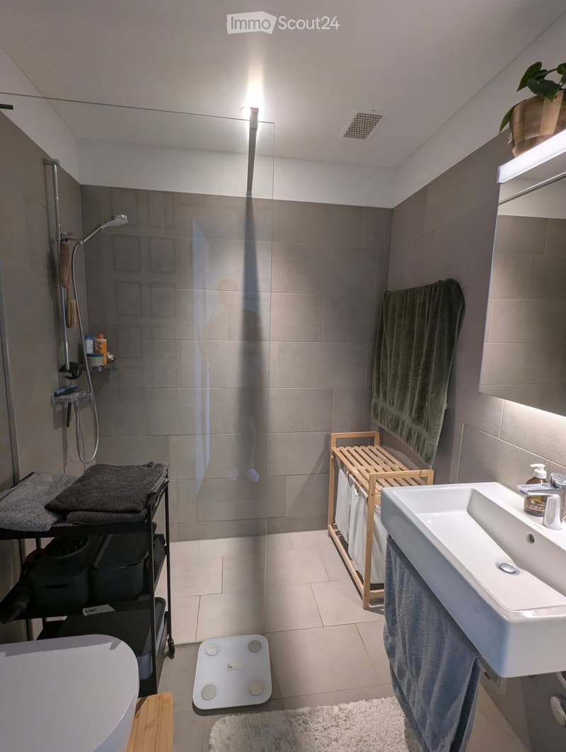 Modern bathroom with a white sink, shower area, towels, a small plant, and a scale on the floor.