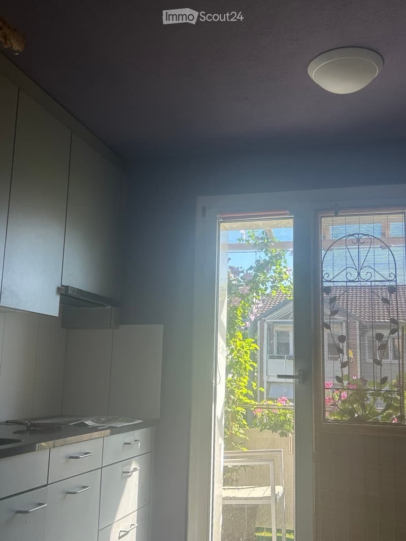 Modern kitchen with white cabinets, stainless steel appliances, and a large window overlooking a garden area.
