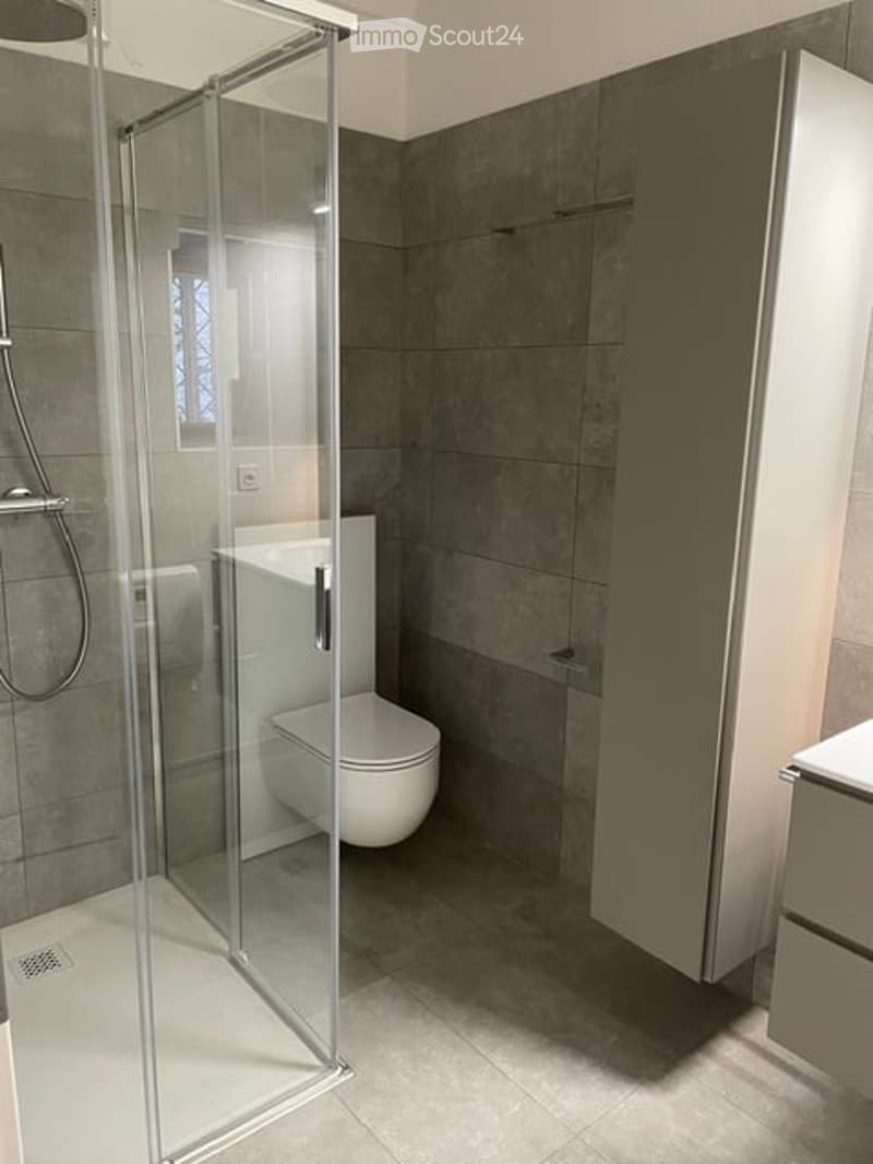 Modern bathroom with grey tiled walls and floor, white toilet, glass shower stall, and built-in cabinet.