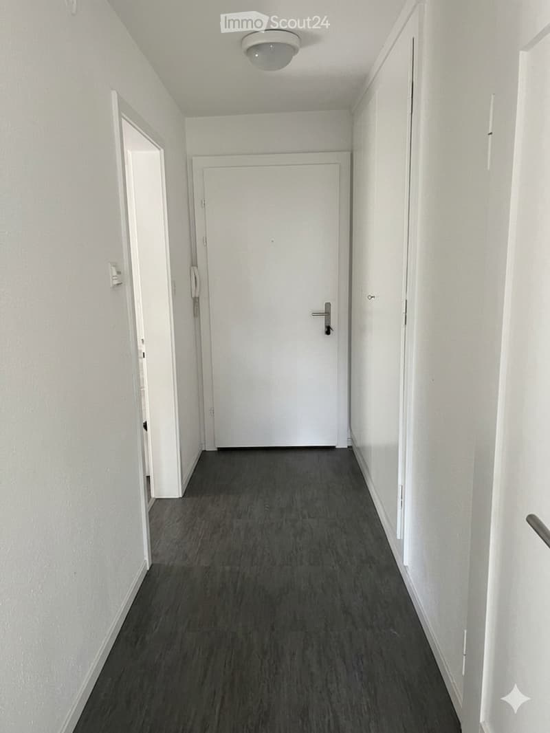 Empty hallway with white walls, dark grey laminate flooring, and a closed white door at the end.