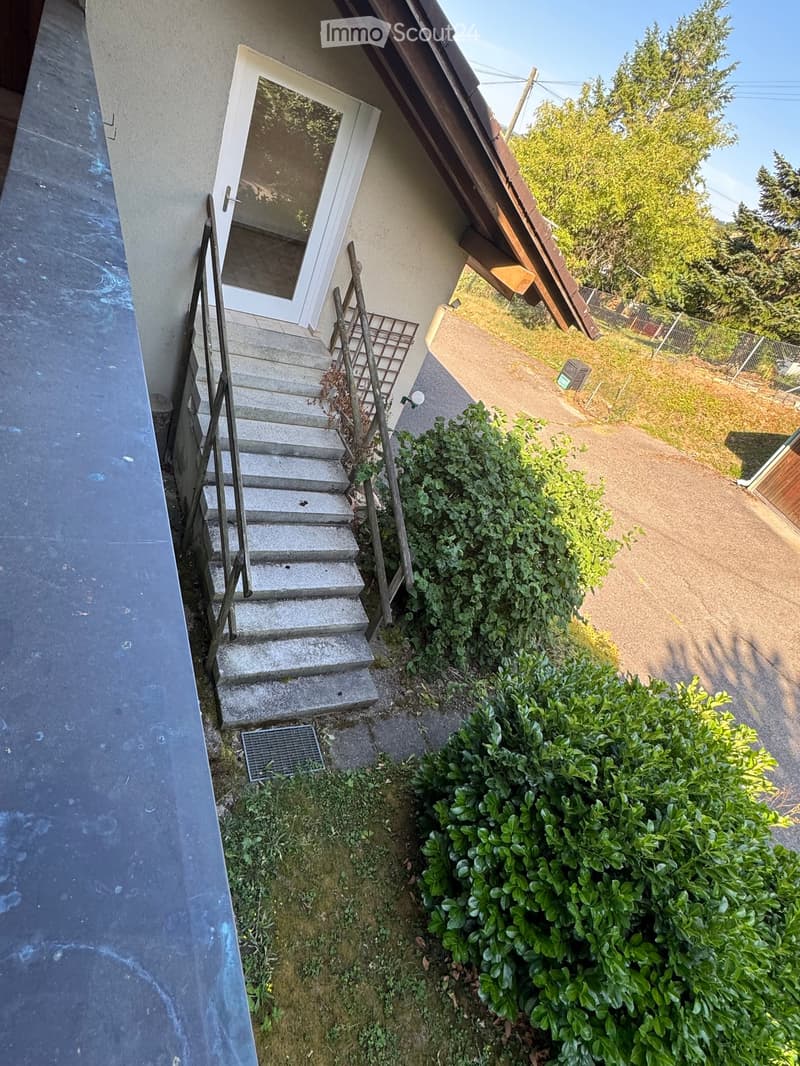 Outdoor area with concrete steps leading to a white door, surrounded by greenery and a gravel path.