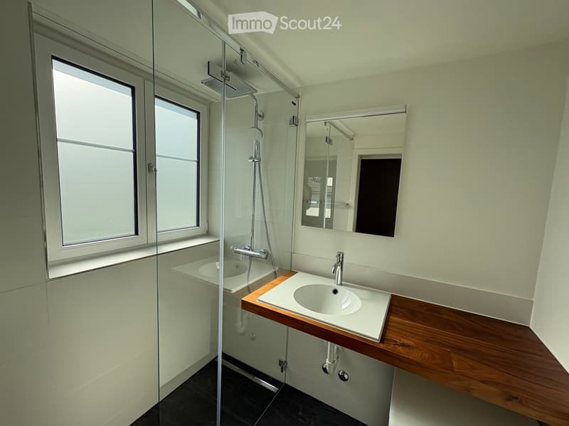 Modern bathroom with a wooden sink vanity, white sink, chrome faucet, large mirror, glass-enclosed shower with a handheld showerhead, and a bathtub.