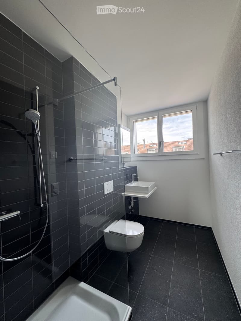 Modern bathroom with dark tiled walls and floor, featuring a bathtub, toilet, sink, and a glass-enclosed shower area with a handheld showerhead.