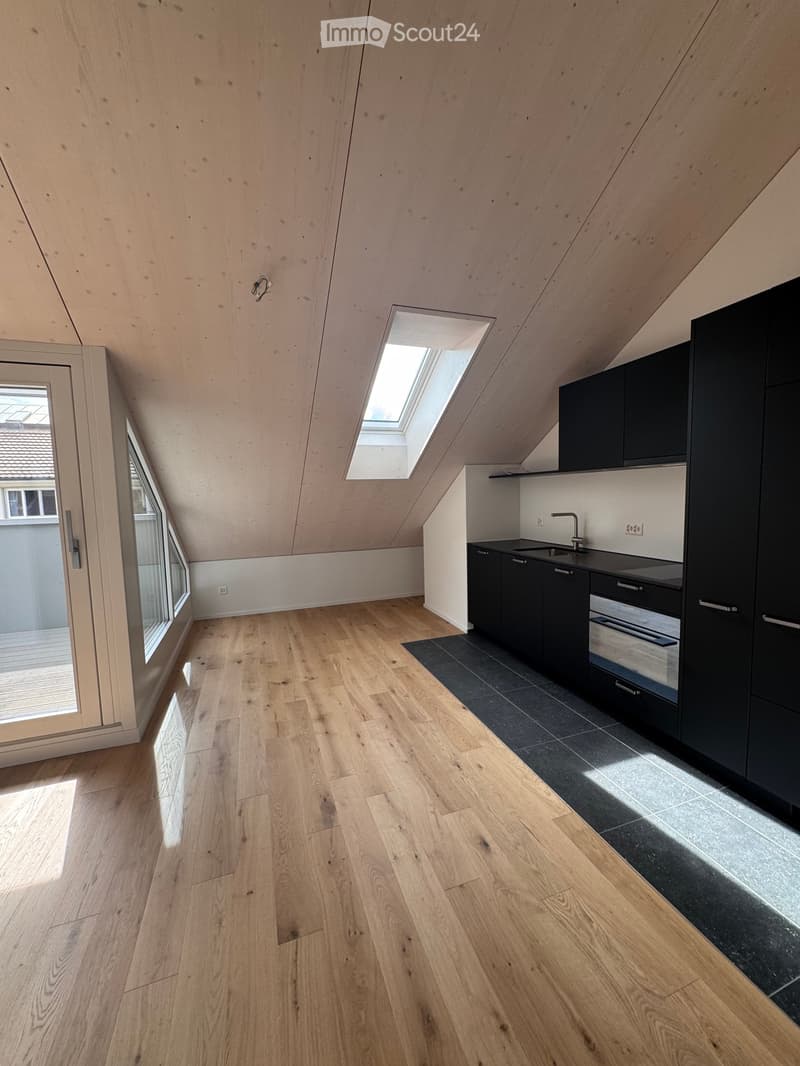 Modern kitchen with light wooden flooring, black cabinets, and a built-in sink. Features a skylight window and a large window with a view of the outside.
