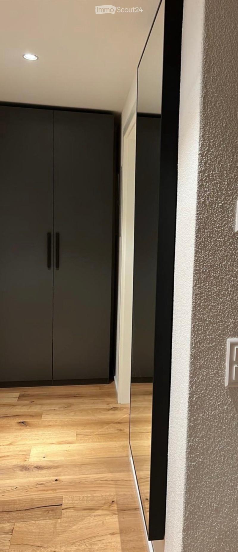 Modern hallway with light wooden flooring, sleek dark grey cabinetry, and recessed ceiling lighting.