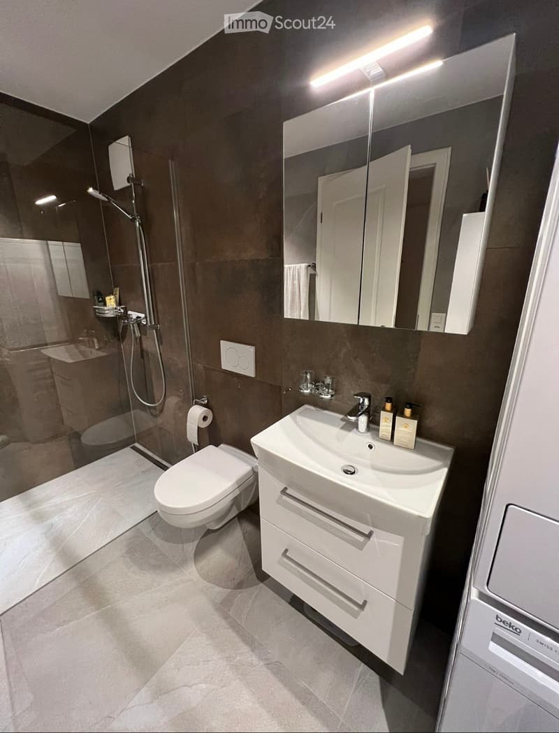 Modern bathroom with dark brown walls, white tiles, a toilet, a sink with a mirror, a shower area, and a towel rack.
