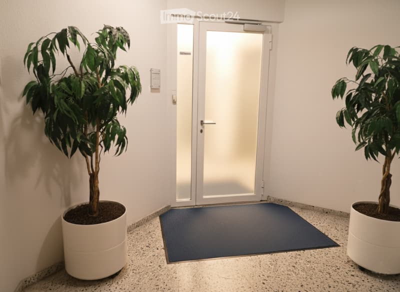 A clean, modern hallway with white walls, a polished stone floor, and a blue doormat in front of a glass door. Two large potted plants flank the entrance.