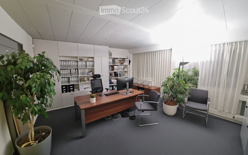 Modern office space with a wooden desk, ergonomic chair, computer setup, potted plants, and built-in shelving units.