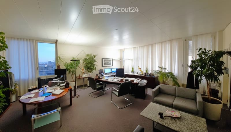 Office space with a sofa, coffee table, desk, office chairs, laptop, screen, and plants. Large windows offer a city view.