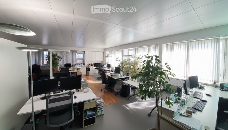 Modern office space with multiple desks, chairs, computer monitors, keyboards, mice, and a potted plant. The room features large windows with blinds, white walls, and a polished wooden floor.