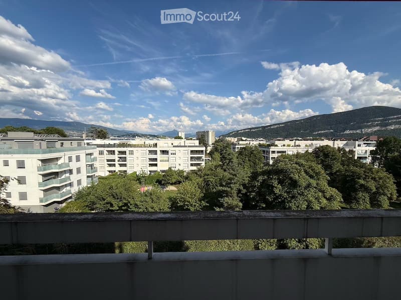 Appartamento luminoso di 3 locali con balcone a Thônex (16)