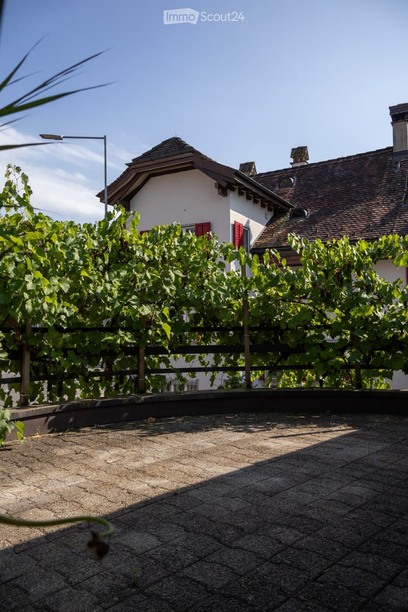 Roof terrace with gravel surface, wooden fence, and lush grapevines growing over the railing, overlooking a residential house with red shutters and tiled roof.