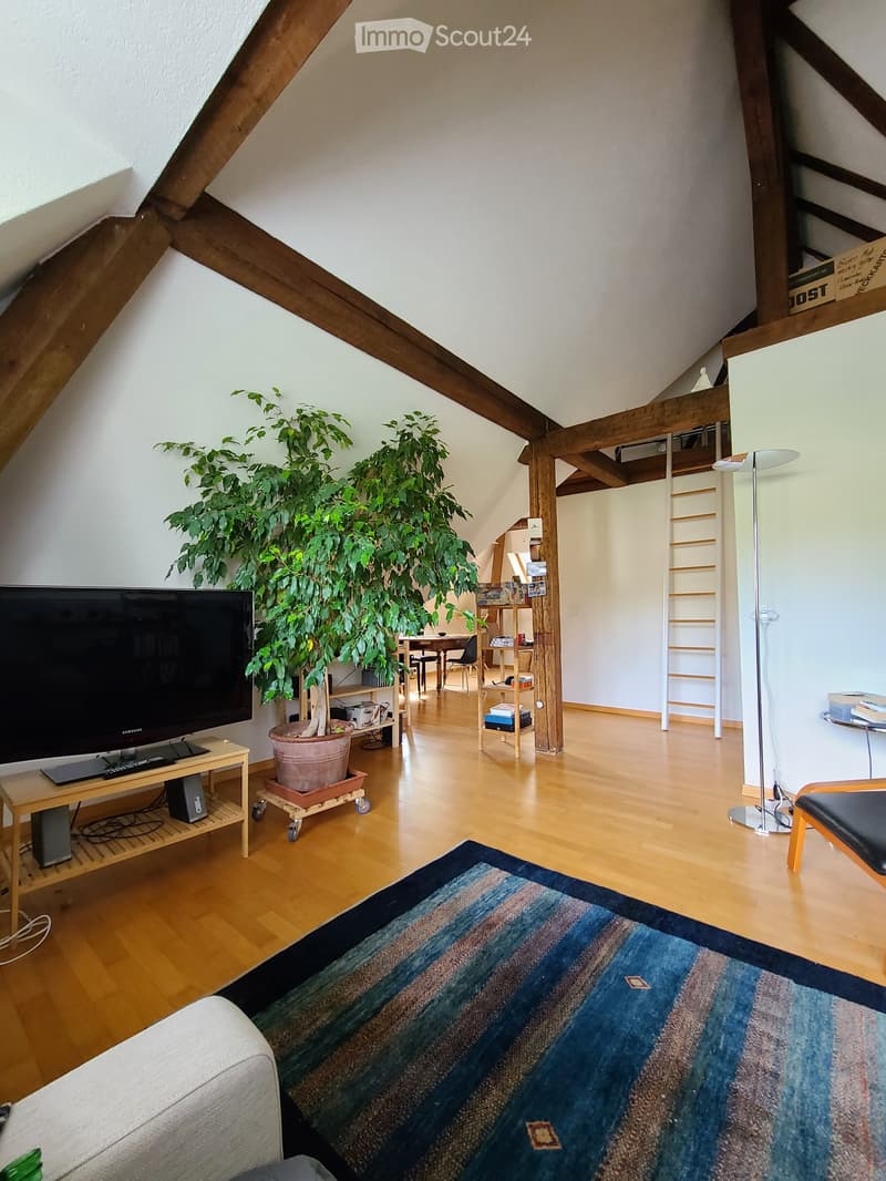 Bright living room with wooden floors, exposed wooden beams, a large potted plant, a sofa, a coffee table with a TV, and a dining area with a table and chairs.