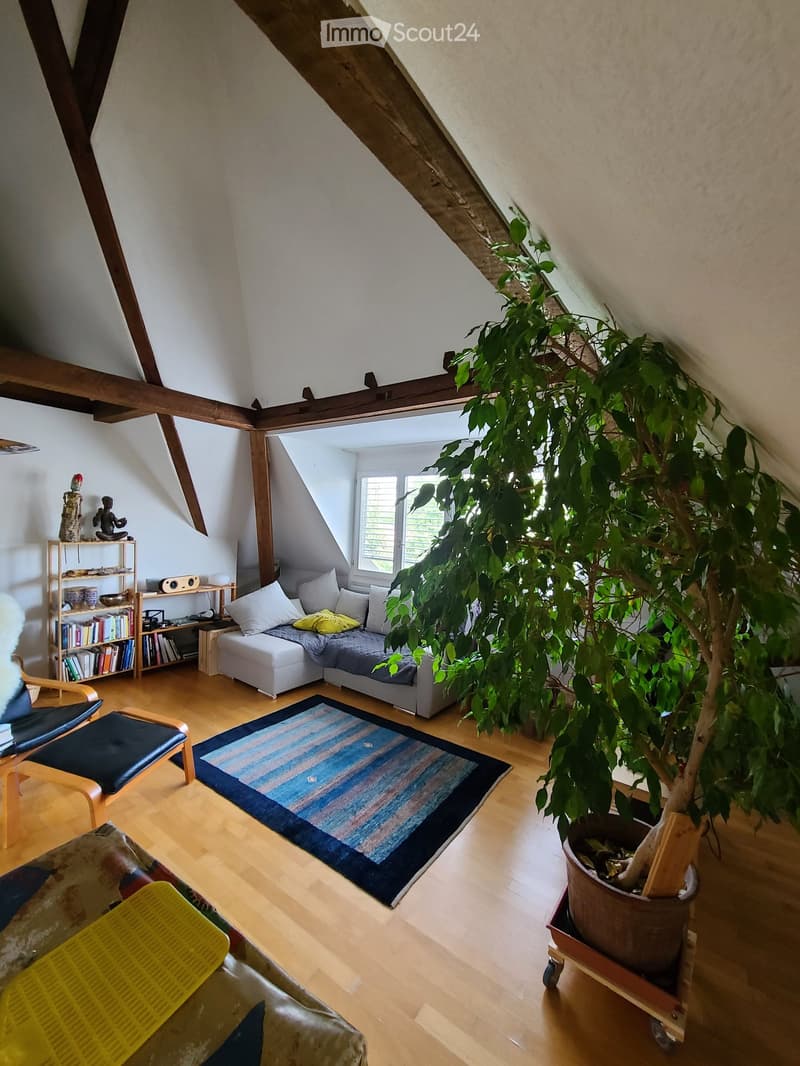 Living room with wooden floors, slanted ceiling beams, a large potted plant, a sofa with cushions, a colorful rug, a bookshelf, and a small table with a lamp.