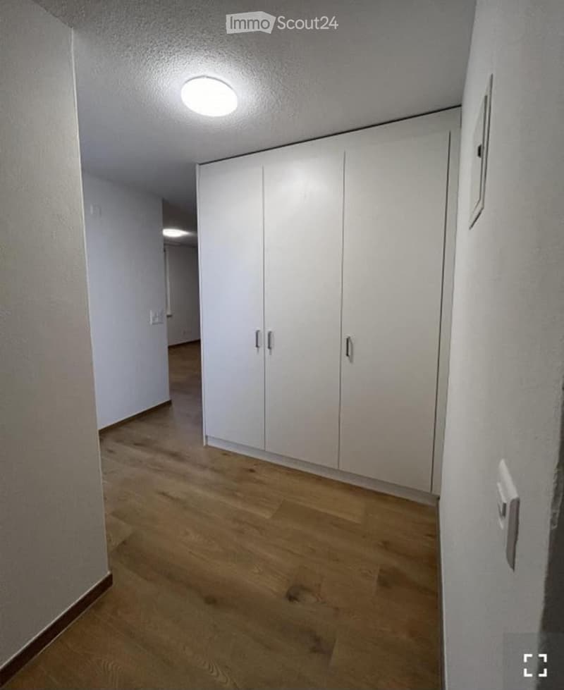 Empty hallway with light wooden flooring, white walls, and built-in white closet units.