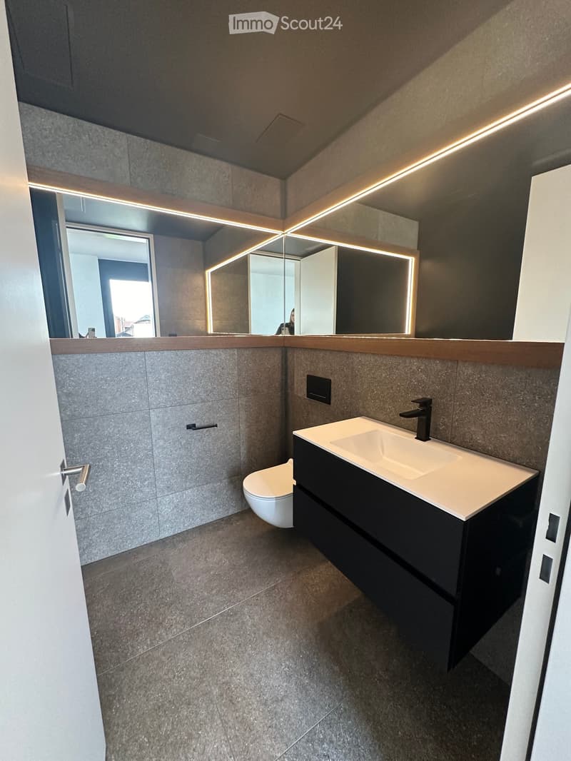 Modern bathroom with a sleek sink, toilet, large mirror with LED lighting, and dark wooden cabinetry.