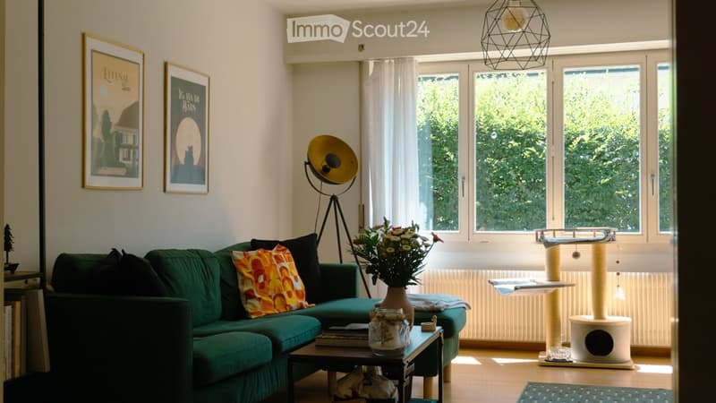 A modern living room with a green sofa, colorful throw pillow, coffee table with books and a vase of flowers, cat tree and cat bed, large windows with white curtains, and decorative wall art.