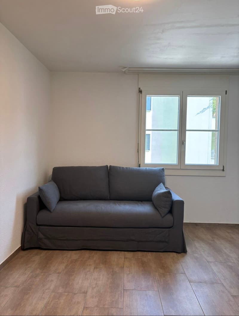 A furnished room with a grey sofa, wooden flooring, and large windows with white frames.