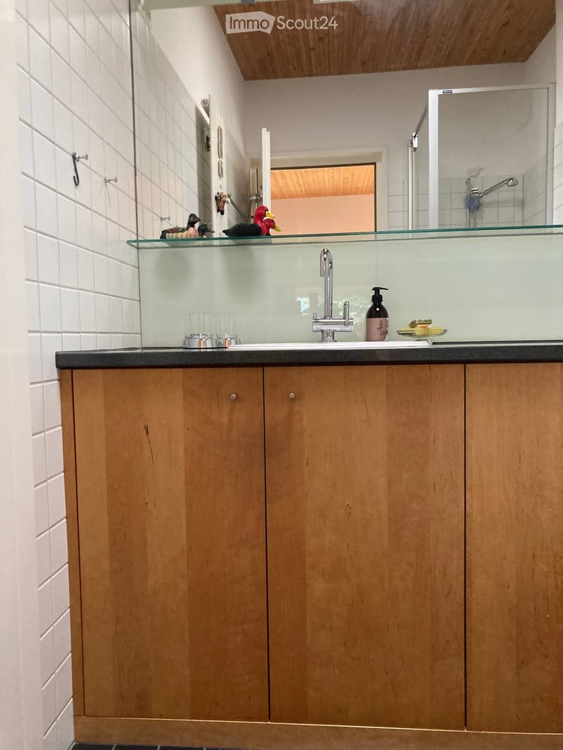 Modern bathroom with wooden cabinets, a glass shelf holding decorative duck figurines, a sink with a modern faucet, and a mirror above.